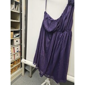 NWT Merona Shiny PLUM Mini Dress Trim Waist Lined Lightweight Size XXL